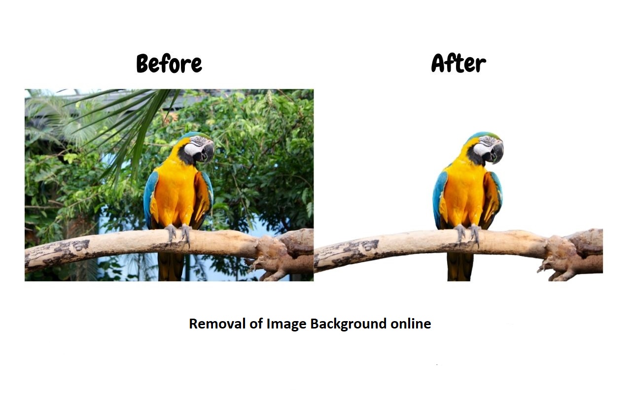 How to remove image background online in easy steps