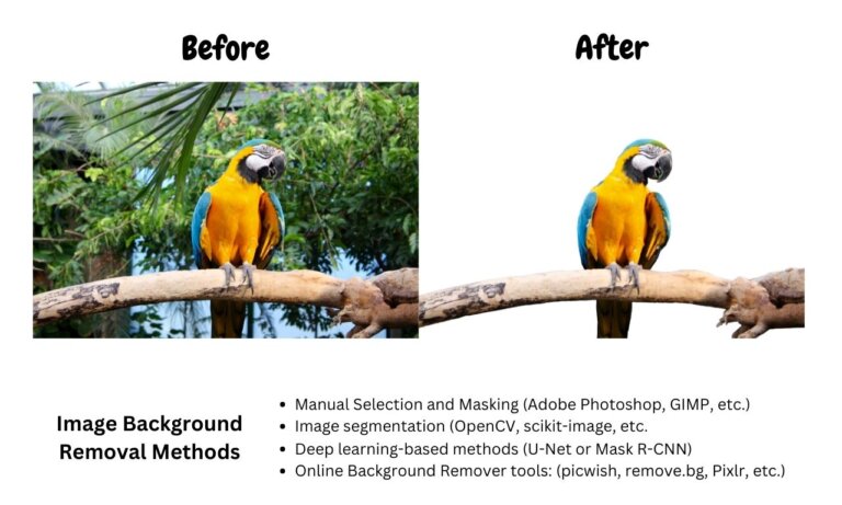 Image Background Removal Techniques